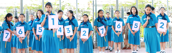 Css Template Preview